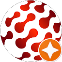 SANeForce profile picture