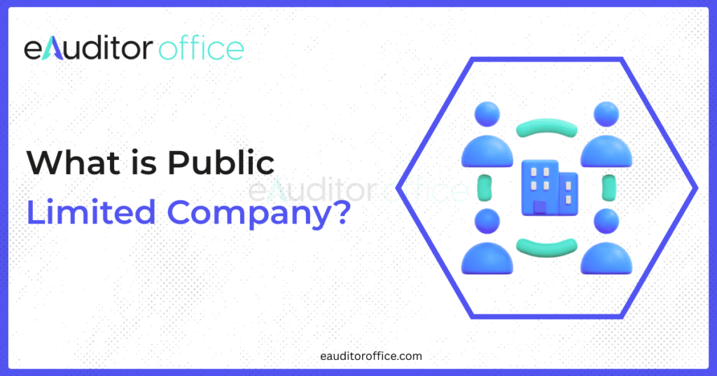 Public Limited Company Formation in India – Complete Guide 2025