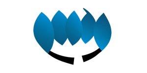 pmdg.png