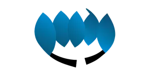 pmdg.png